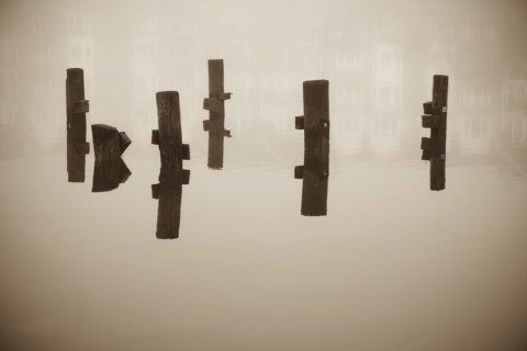 Wooden columns in water