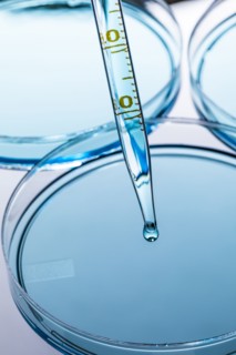 Petri dish with blue liquid and pipette