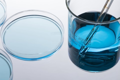 Petri dish with blue liquid and pipette
