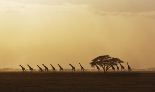 Kenya