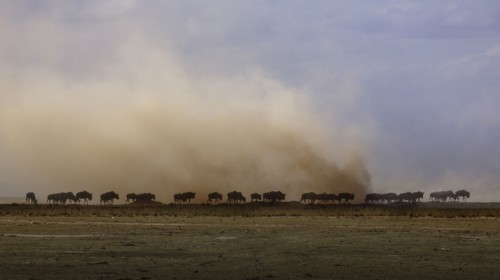 Africa