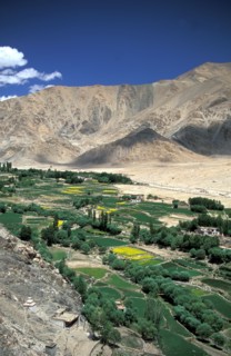 Landscape with Himalayas and green valley