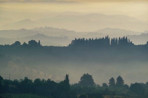 Rural hills with morning mist