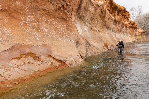 Woman wading across Escalante River in Grand Staircase-Escalante National Monument