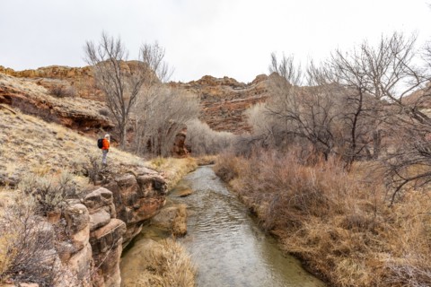 Woman hiking along Escalante River in Grand Staircase-Escalante National Monument
