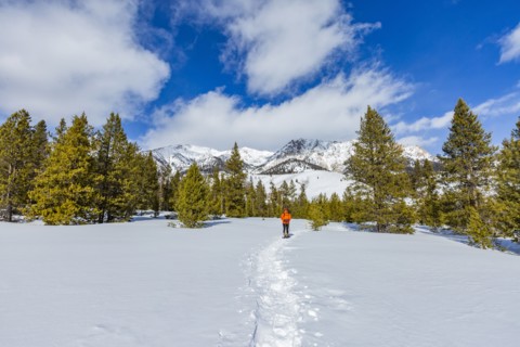 Woman snowshoeing in mountains