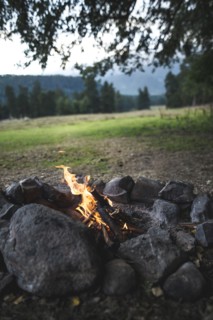 Bonfire under tree