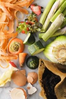 Overhead view of vegetable scraps ready for compost
