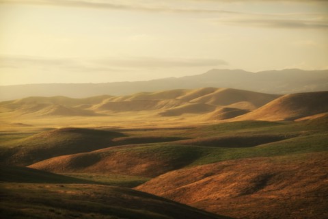 Hilly landscape at sunset