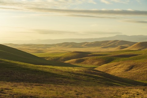 Hilly landscape at sunset