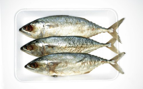 Overhead view of sardines on tray