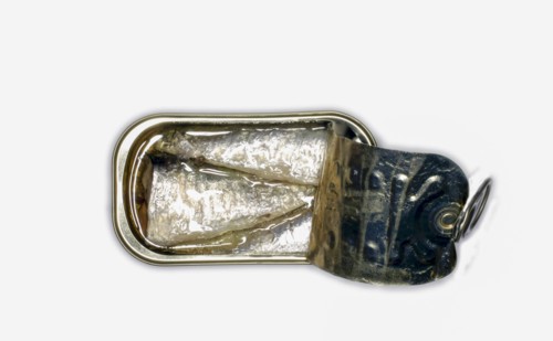 Studio shot of open can with sardines