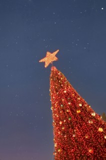 Low angle view of red Christmas tree against sky at night
