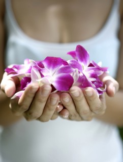 Close-up of woman's hands holding purple orchids