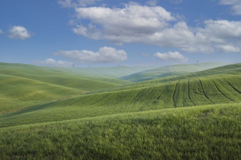 Italy