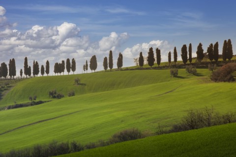 Italy