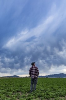 Rear view of farmer standing in field under storm clouds