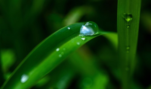 Close-up of water drops on grass