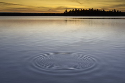 Usa, Maine, Cooper, Sunset at Cathance Lake