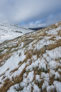 Australia, New South Wales, Mountain grass covered with snow at Charlotte Pass in Kosciuszko National Park