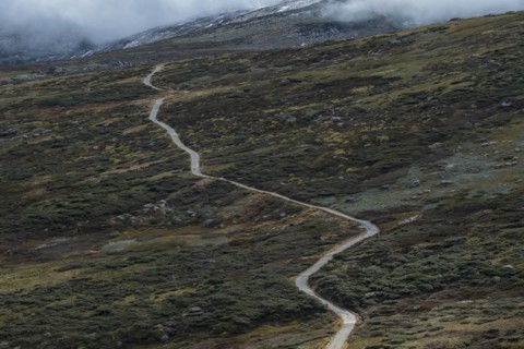 Australia, New South Wales, Hiking trail in mountains at Charlotte Pass in Kosciuszko National Park