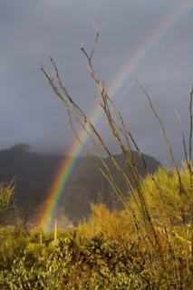 USA, Arizona, Tucson, Rainbow in landscape with mountains in background