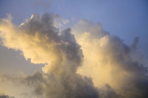 Cumulus clouds in morning light