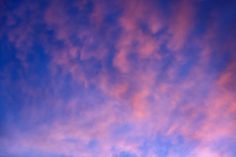 Pink cumulonimbus clouds against blue sunset sky