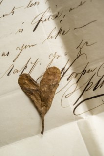Dried heart shaped leaf on antique letter