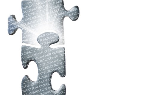 Two puzzle pieces coming together with DNA sequence