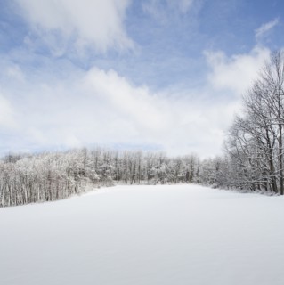 Jockey Hollow in winter