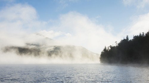 Morning mist rising