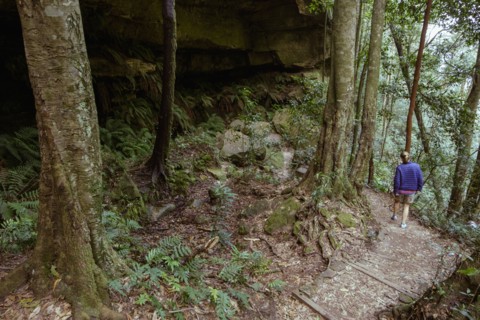 Woman on hiking trail in forest