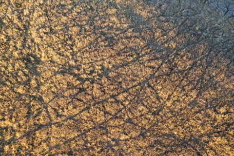 Aerial view of tire tracks in field