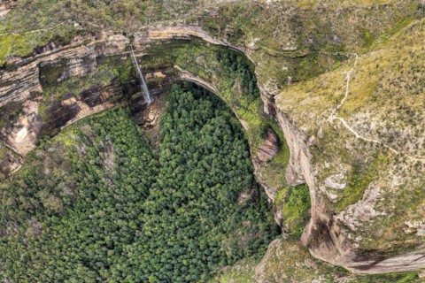 Aerial view of forest in canyon