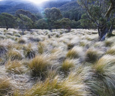 Kosciuszko National Park