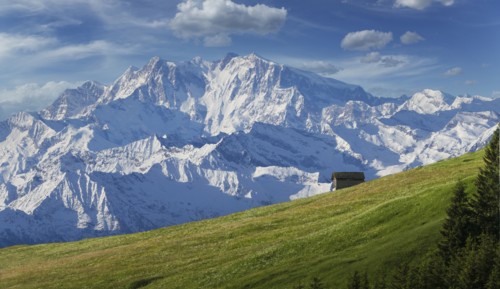 Hut in green pasture and snowy Alps