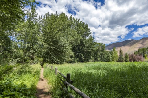 Footpath and pasture in rural area