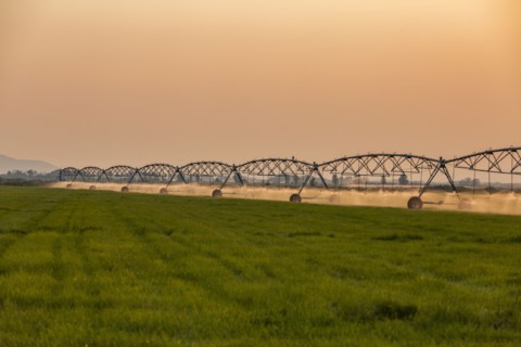 Irrigation equipment in field