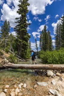 Woman hiker walking across fallen tree