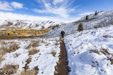 Hiker with golden labrador on snowy trail