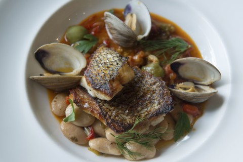 Plate of seared fish and clams