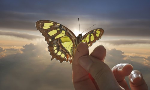 Caucasian woman holding butterfly in cloudy sky