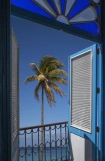 Balcony doors overlooking palm tree and ocean