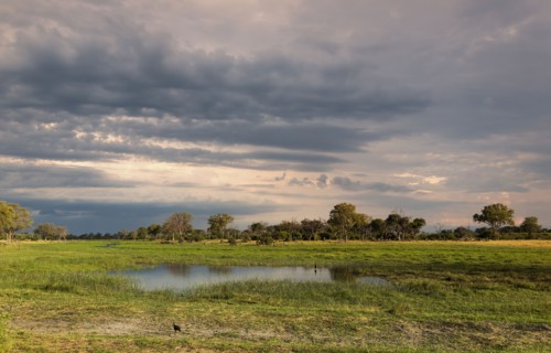 Clouds over field in rural landscape