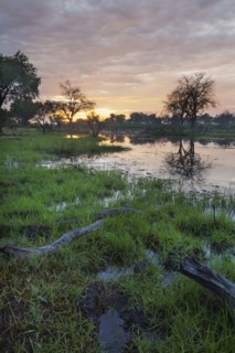 Sunset reflecting in remote river