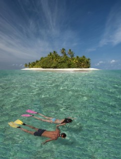Caucasian couple snorkeling off tropical island