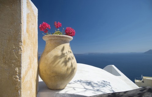 Flower pot on balcony overlooking seascape
