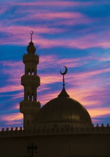Silhouette of ornate spires and dome building
