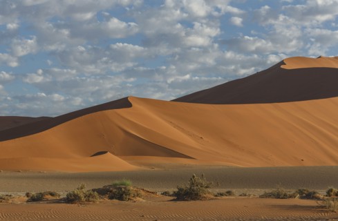 Sand dunes in desert landscape